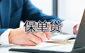 双鸭山保单贷